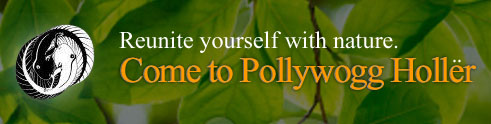 Come to Pollywogg Holler